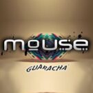 دانلود آهنگ ریمیکس Dj Mouse به نام Muchacha Loca