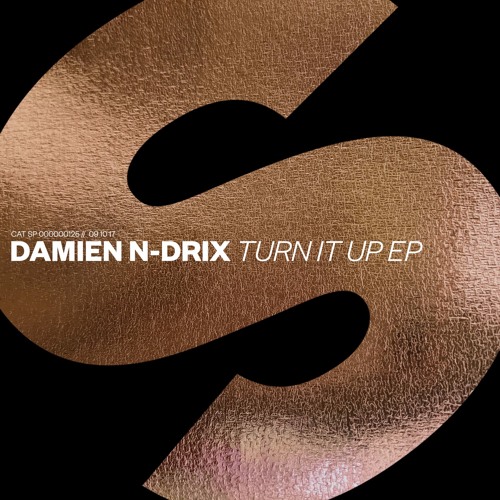 دانلود آهنگ بیکلام Damien N Drix به نام Turn It Up