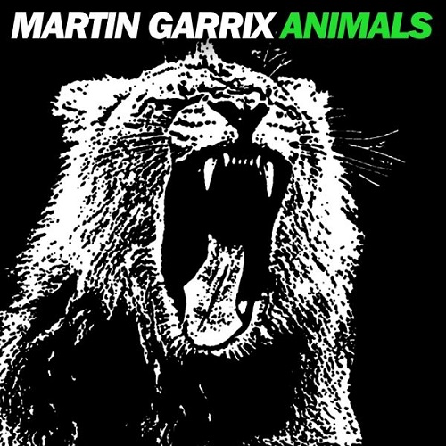 دانلود آهنگ Martin Garrix به نام Animal