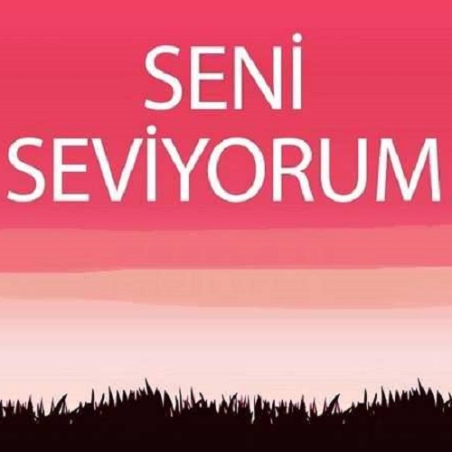 دانلود اهنگ سنی سویوروم بونو توم خواننده زن ترکی