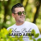 دانلود آهنگ دلم باهاته از سعید آیین