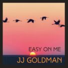 دانلود آهنگ بیکلام JJ Goldman به نام Easy On Me • سانگها
