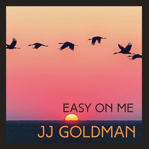 دانلود آهنگ بیکلام JJ Goldman به نام Easy On Me • سانگها