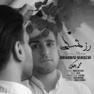 دانلود آهنگ محمد رهگذر به نام رز مشکی • سانگها