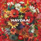دانلود آهنگ بی کلام Haydaa از Pasha Music • سانگها