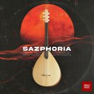 دانلود آهنگ بی کلام Sazphoria از Pasha Music • سانگها