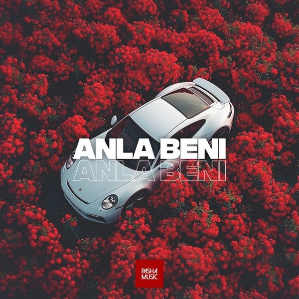 دانلود آهنگ بی کلام Anla Beni از Pasha Music • سانگها