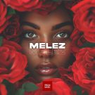 دانلود آهنگ بی کلام Melez از Pasha Music • سانگها