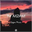 دانلود آهنگ Tu Nizani از Gogan Music • سانگها