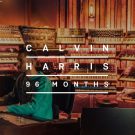 دانلود آهنگ This Is What You Came For از Calvin Harris و Rihanna • سانگها