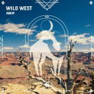 دانلود آهنگ بی کلام Wild West از AVAM • سانگها