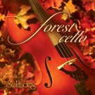 دانلود آهنگ بی کلام The Fallen Leaves از Dan Gibson • سانگها