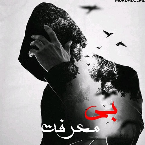 دانلود آهنگ بی معرفت از مرداب • سانگها