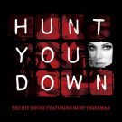 دانلود آهنگ خارجی Hunt You Down از The Hit House • سانگها