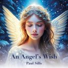 دانلود آهنگ بی کلام An Angel's Wish از Paul Sills • سانگها