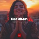 دانلود اهنگ بی کلام Bir dilek از Pasha Music • سانگها
