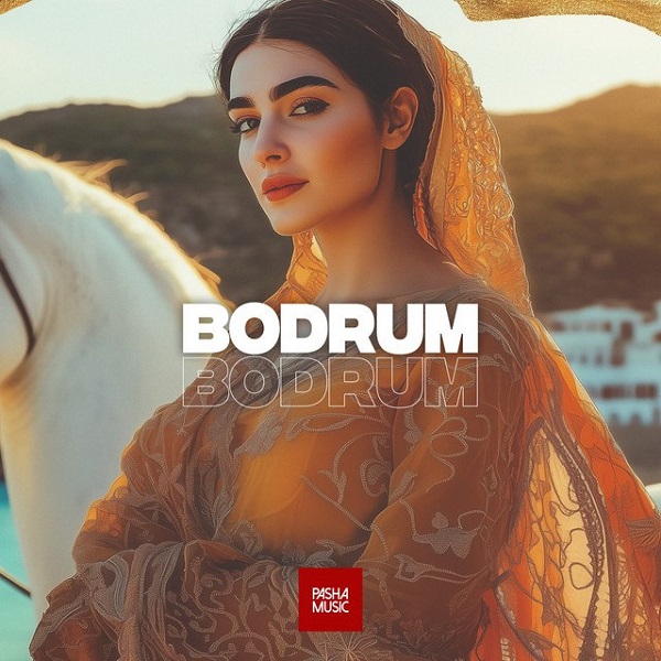 دانلود آهنگ بی کلام Bodrum از Pasha Music • سانگها