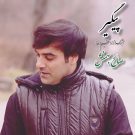 آهنگ جدید صالح بهمنش به نام پیگیر • سانگها