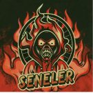 دانلود آهنگ بی کلام Seneler از Mardin Manson • سانگها