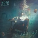 دانلود آهنگ بی کلام Sunlight از Hozier • سانگها