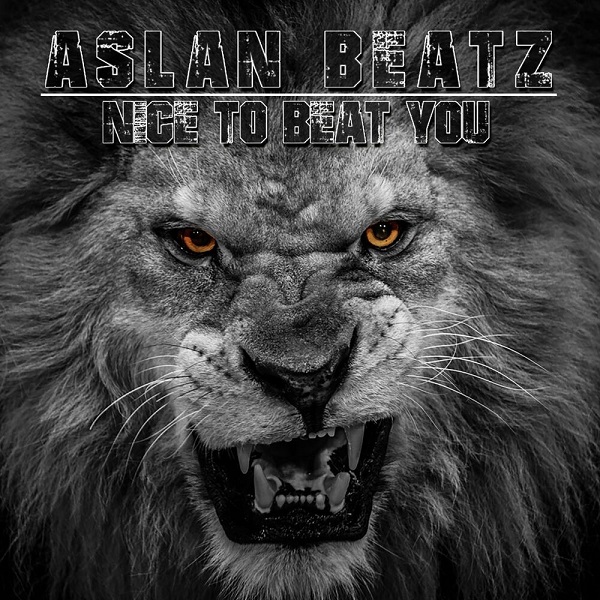 دانلود آهنگ بی کلام Nice to Beat You از AslanBeatz • سانگها
