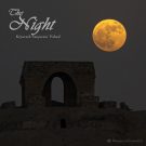 دانلود آهنگ بی کلام The Night از Kiyarash Sanjarani Vahed • سانگها