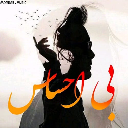 دانلود آهنگ بی احساس از مرداب • سانگها