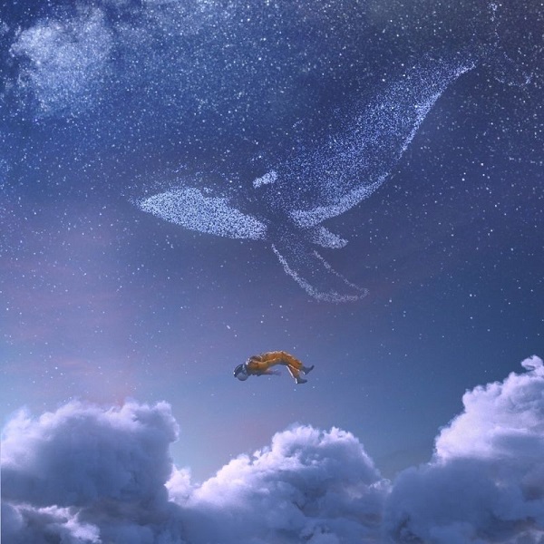 دانلود ریمیکس بی کلام Whale (Remix) از Iday • سانگها