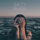 دانلود آهنگ بی کلام Melting Sky از Salty River • سانگها