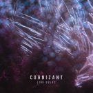 دانلود اهنگ بی کلام Cognizant از Lori Dulac • سانگها
